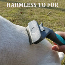 将图片加载到图库查看器,Dog hair removal tool, advanced pet brush