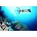 将图片加载到图库查看器,DiveLungs - Full Face Snorkel Mask