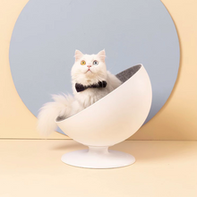 将图片加载到图库查看器,Delicate hemispherical cat's nest