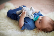 将图片加载到图库查看器，Baby guardian, cute animal Pacifier
