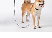 将图片加载到图库查看器，Pet retractable traction rope
