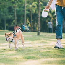 将图片加载到图库查看器，Pet retractable traction rope
