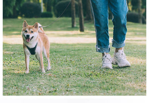 Pet retractable traction rope