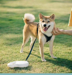 Pet retractable traction rope