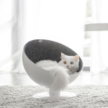 将图片加载到图库查看器，Delicate hemispherical cat&#39;s nest
