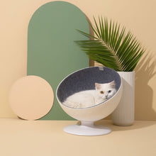 将图片加载到图库查看器，Delicate hemispherical cat&#39;s nest
